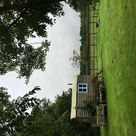 Mollies Hut Vila Frome Exterior foto