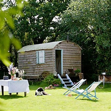 Mollies Hut Vila Frome Exterior foto